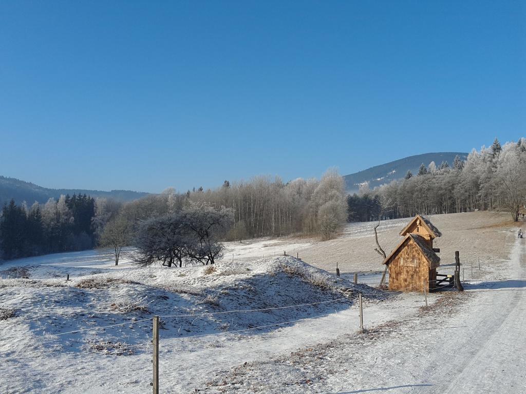 Ubytovani - Cerna Hora II Svoboda nad Úpou Extérieur photo