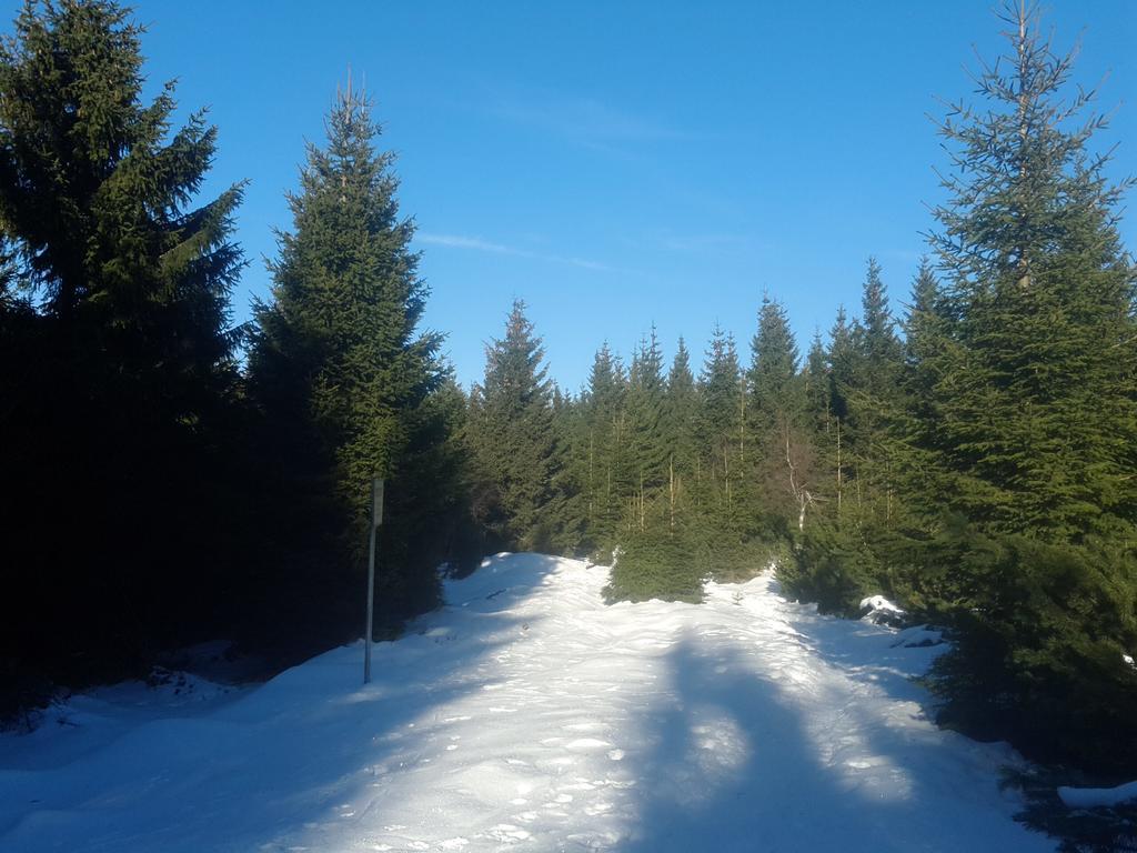 Ubytovani - Cerna Hora II Svoboda nad Úpou Extérieur photo